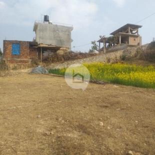 Banepa ghaderi : Land for Sale in Banepa, Kavre-image-2