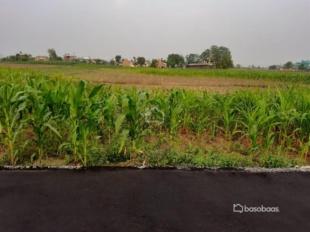 Residental Land : Land for Sale in Bharatpur, Chitwan-image-2