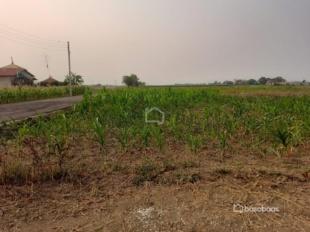 Residental Land : Land for Sale in Bharatpur, Chitwan-image-5