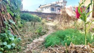 Land Sale in Kalanki, Dhungeadda : Land for Sale in Kalanki, Kathmandu-image-3
