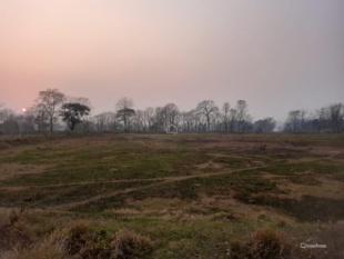 Commercial or Agriculture Land : Land for Sale in Bharatpur, Chitwan-image-5