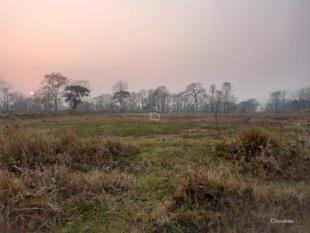 Commercial or Agriculture Land : Land for Sale in Bharatpur, Chitwan-image-4