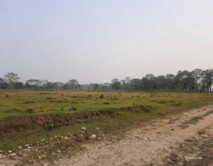 Commercial or Agriculture Land : Land for Sale in Bharatpur, Chitwan-image-2
