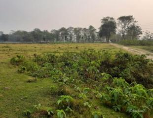 Commercial or Agriculture Land : Land for Sale in Bharatpur, Chitwan-image-3