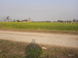 Agriculture : Land for Sale in Bharatpur, Chitwan-image-2