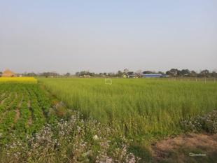 Agriculture : Land for Sale in Bharatpur, Chitwan-image-3