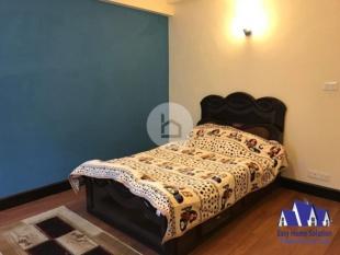 Apartment for rent : Apartment for Rent in Lazimpat, Kathmandu-image-5