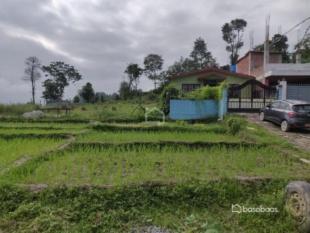 0-3-2-2 Land (in Plotting) for Sale in Syuchatar (Nagarjun-07) : Land for Sale in Syuchatar, Kathmandu-image-1