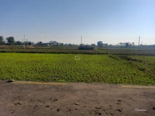 Residental Land : Land for Sale in Bharatpur, Chitwan-image-3