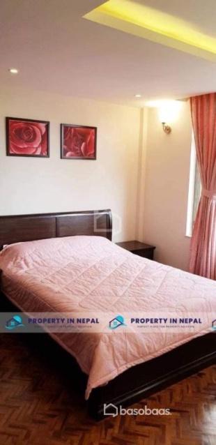 house for rent : House for Rent in Sanepa, Lalitpur-image-5