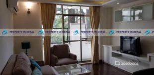 house for rent : House for Rent in Sanepa, Lalitpur-image-3