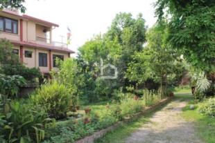 RENTED OUT : House for Rent in Naxal, Kathmandu-image-3