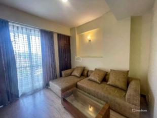 Downtown Apartment : Apartment for Sale in Dhapakhel, Lalitpur-image-5