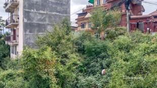 Residential Land : Land for Sale in Syuchatar, Kathmandu-image-2